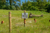 2026_05_24-Breffni-Memorial-Run-265